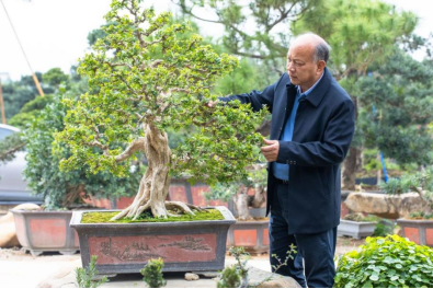 打造文化传承“永利样本”让传统非遗“潮”起来3058.png