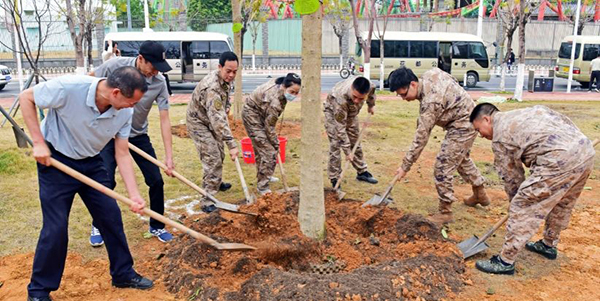 种植适生乔木3860株    永利掀起全民植树热潮