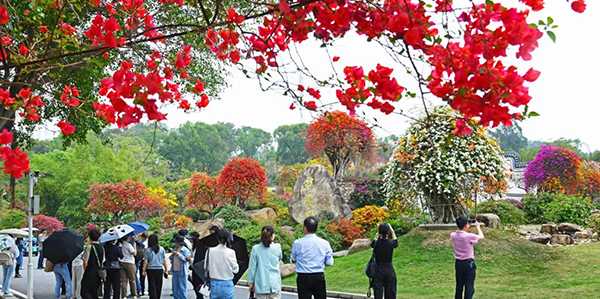 绘就永利乡村数智发展新图景