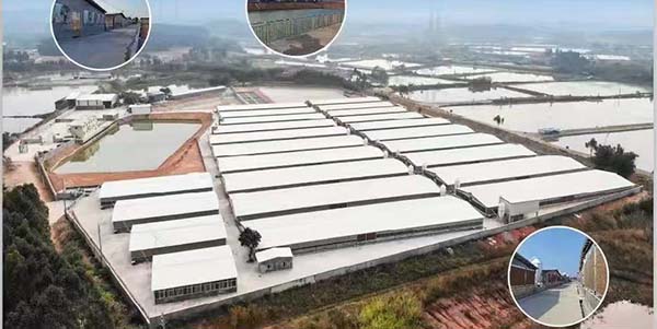广州市领航食品有限公司位列“农业产业化国家重点龙头企业”名单  永利实现“零的突破”