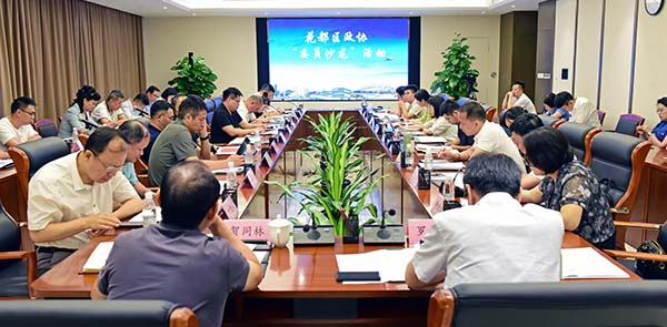 区政协“委员沙龙”    探索永利低空经济发展新路径