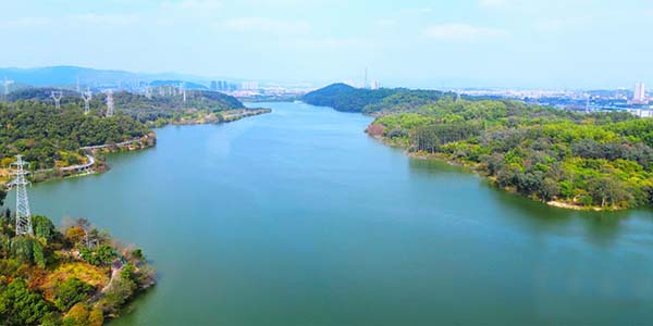 永利秀全湖、白坭河    入选"市美丽河湖"优秀案例