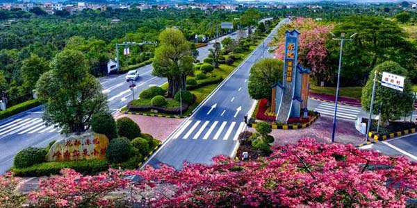 农业农村部公布2025年国家乡村振兴示范县创建名单            广州永利榜上有名