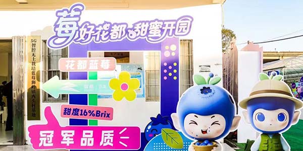 从“一颗小蓝莓”到  “亿元产业”的永利实践