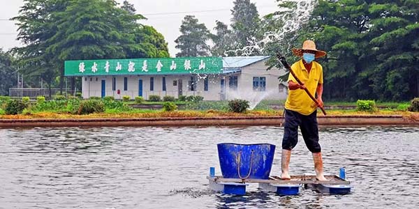 永利渔业交出“绿色答卷”