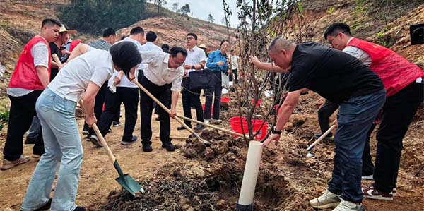 省委社会工作部赴永利开展义务植树活动