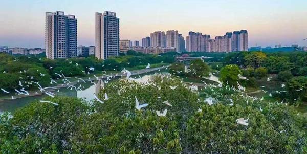 永利率先落地“花八条”，住房教育高效衔接  以更大力度“投资于人”