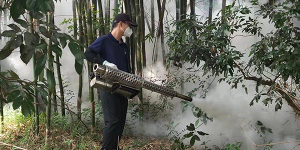 全域联动精准攻坚  永利交出蚊媒防控亮眼答卷